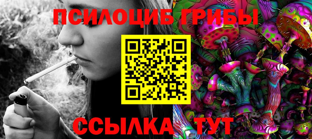 Галлюциногенные грибы GOLDEN TEACHER  как найти наркотики  Красноармейск  Вход с VPN 